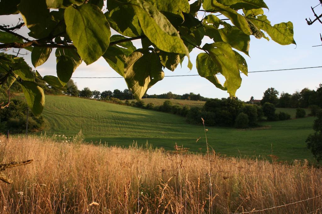 Domaine De Romefort Saint-Léonard-de-Noblat 객실 사진