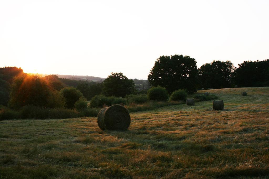 Domaine De Romefort Saint-Léonard-de-Noblat 객실 사진